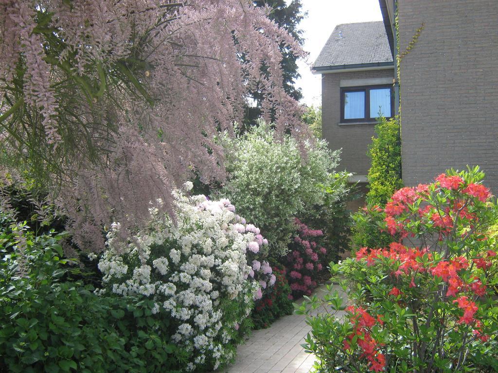 Prince d'Orange Bed&Breakfast Braine-lʼAlleud Exterior foto